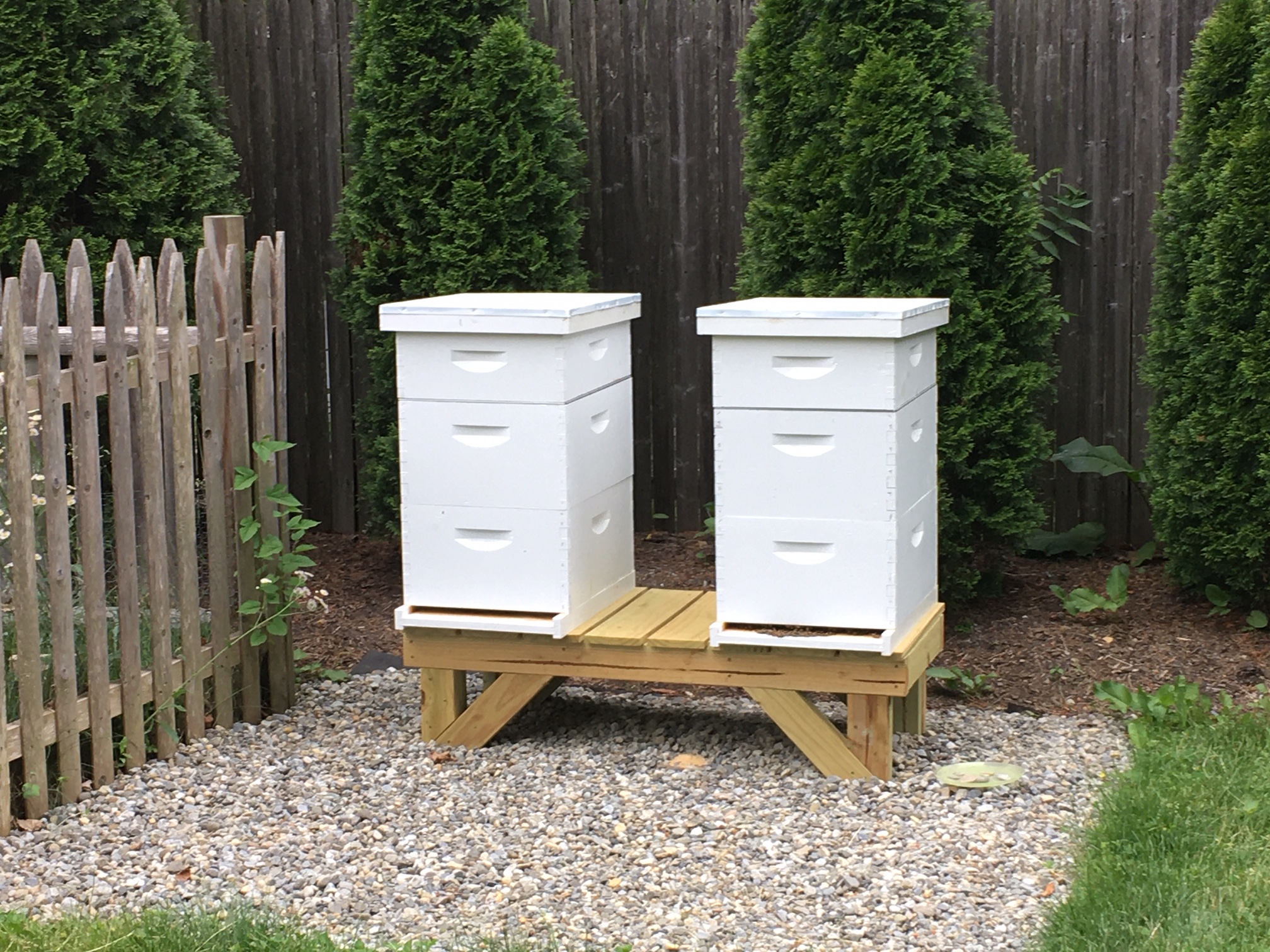 Two white beehives on a wooden stand beside a picket fence