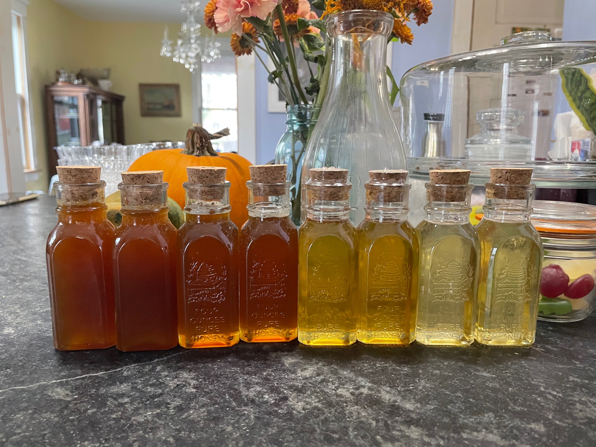 Bottles of honey lined up on a counter, shading from dark amber through to water white